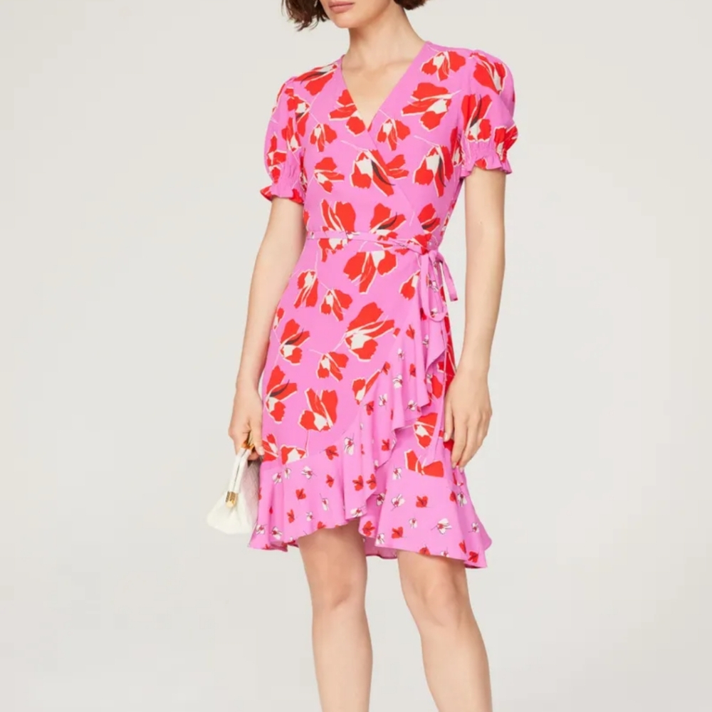 Diane Von Furstenberg Emilia Mini Dress
